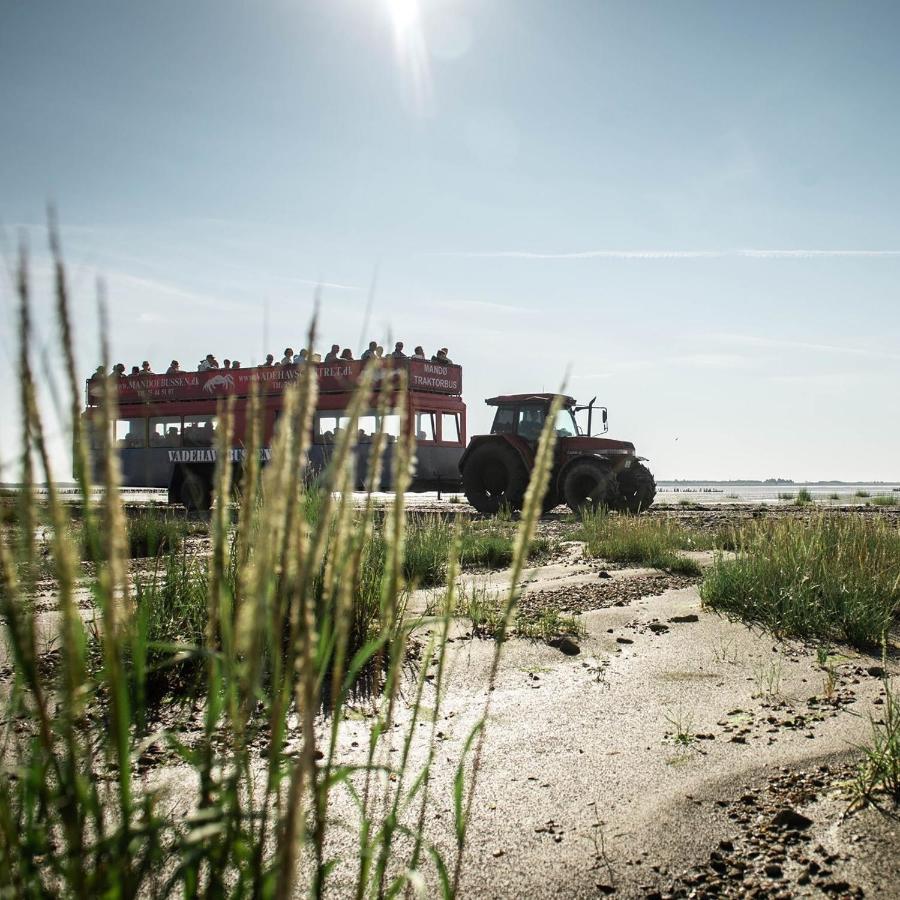 Lustrup Farmhouse 리베 외부 사진